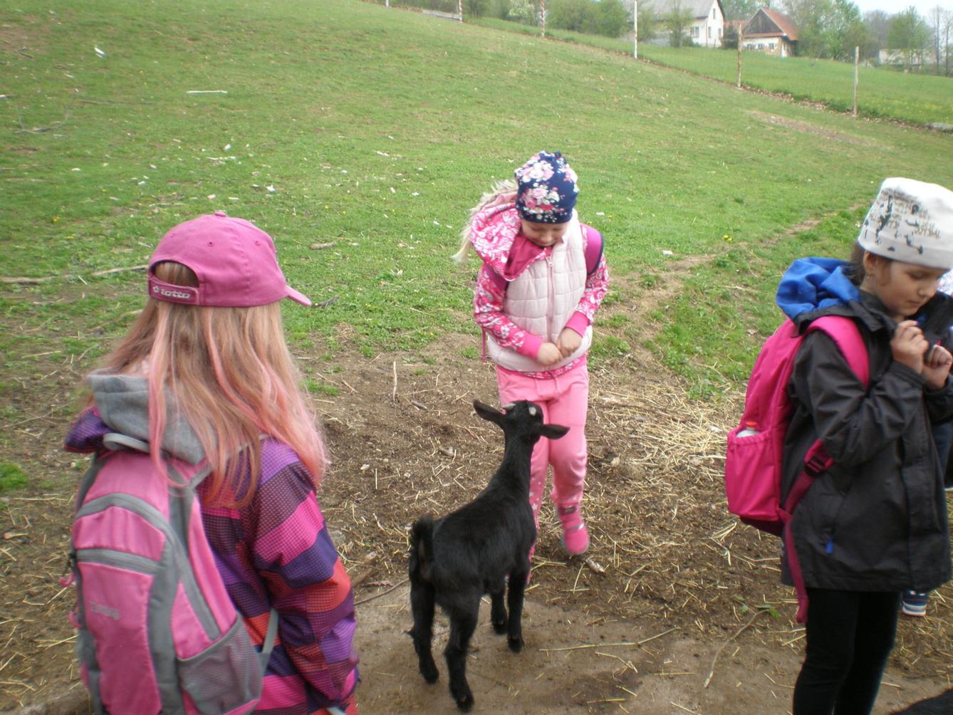 Výprava prvňáčků za zvířaty - 7
