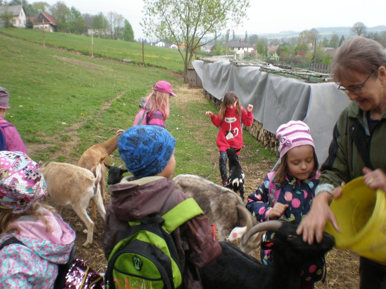 Výprava prvňáčků za zvířaty - 8
