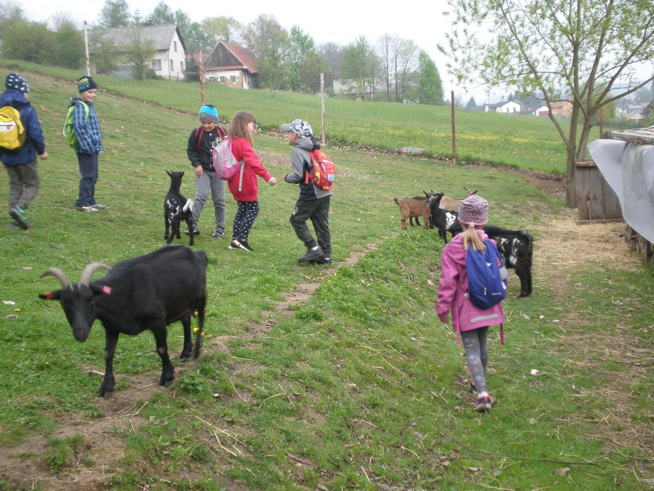 Výprava prvňáčků za zvířaty - 9