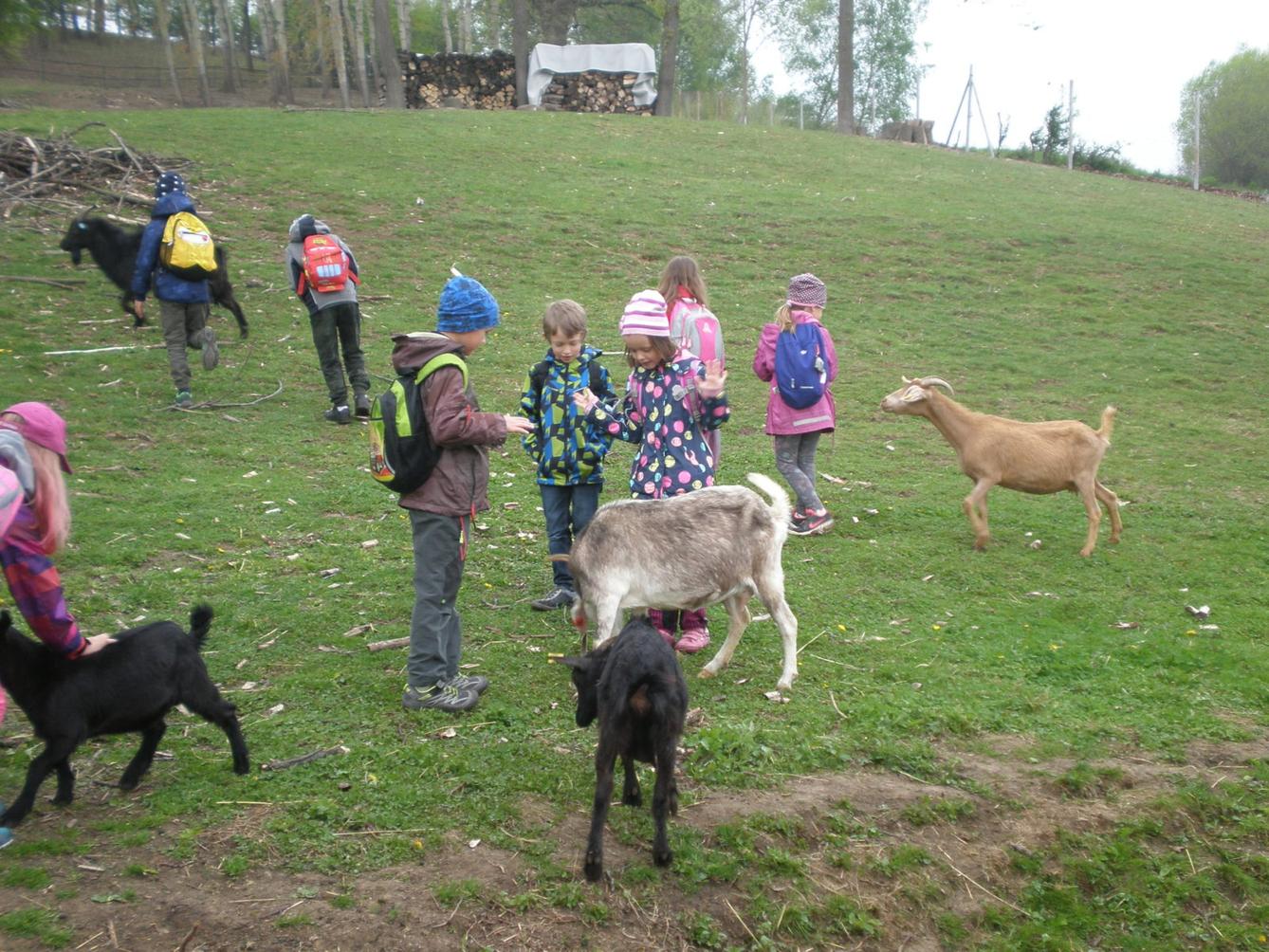 Výprava prvňáčků za zvířaty - 10