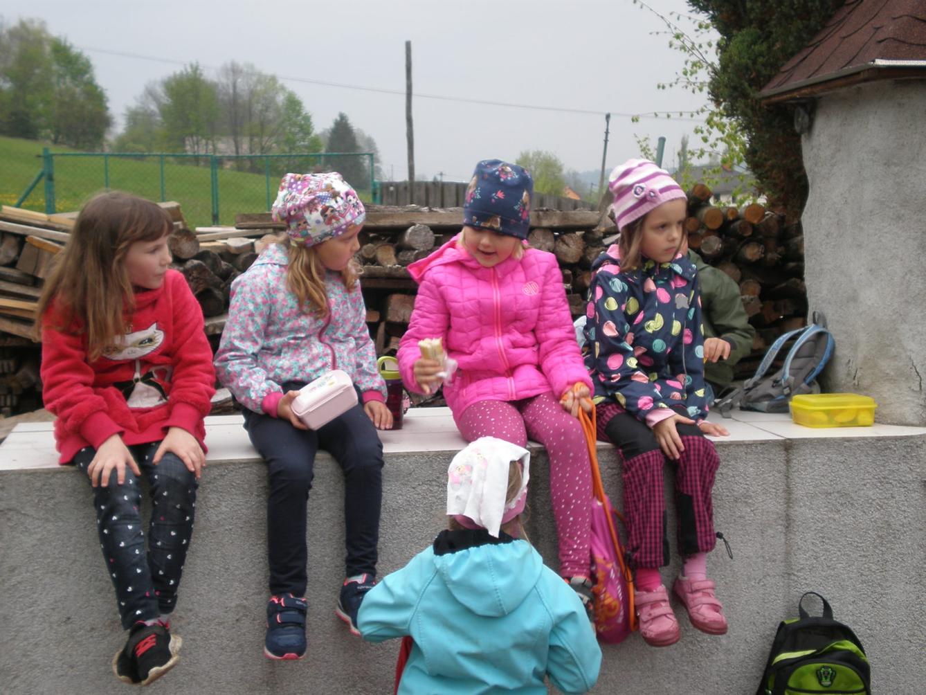 Výprava prvňáčků za zvířaty - 11