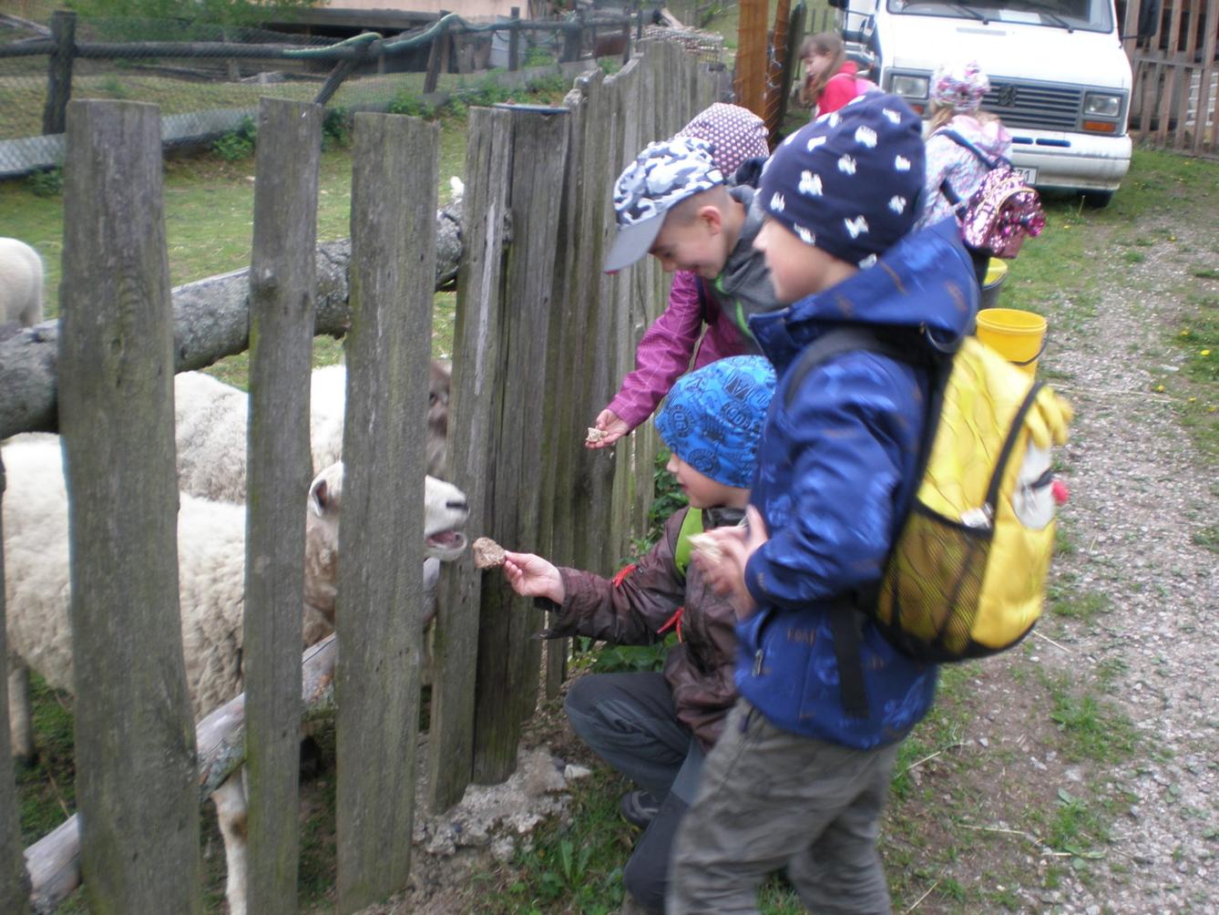 Výprava prvňáčků za zvířaty - 15