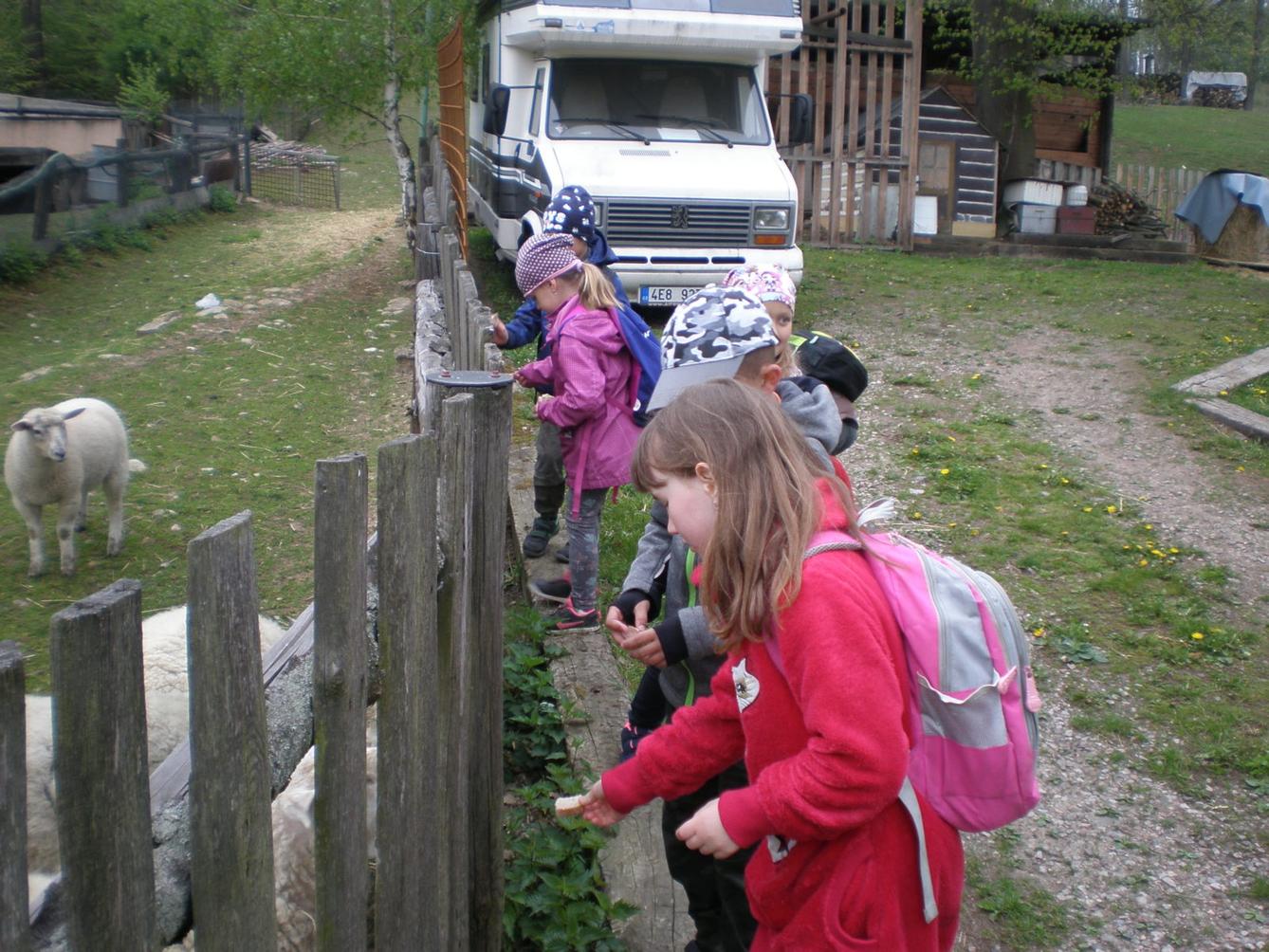 Výprava prvňáčků za zvířaty - 16