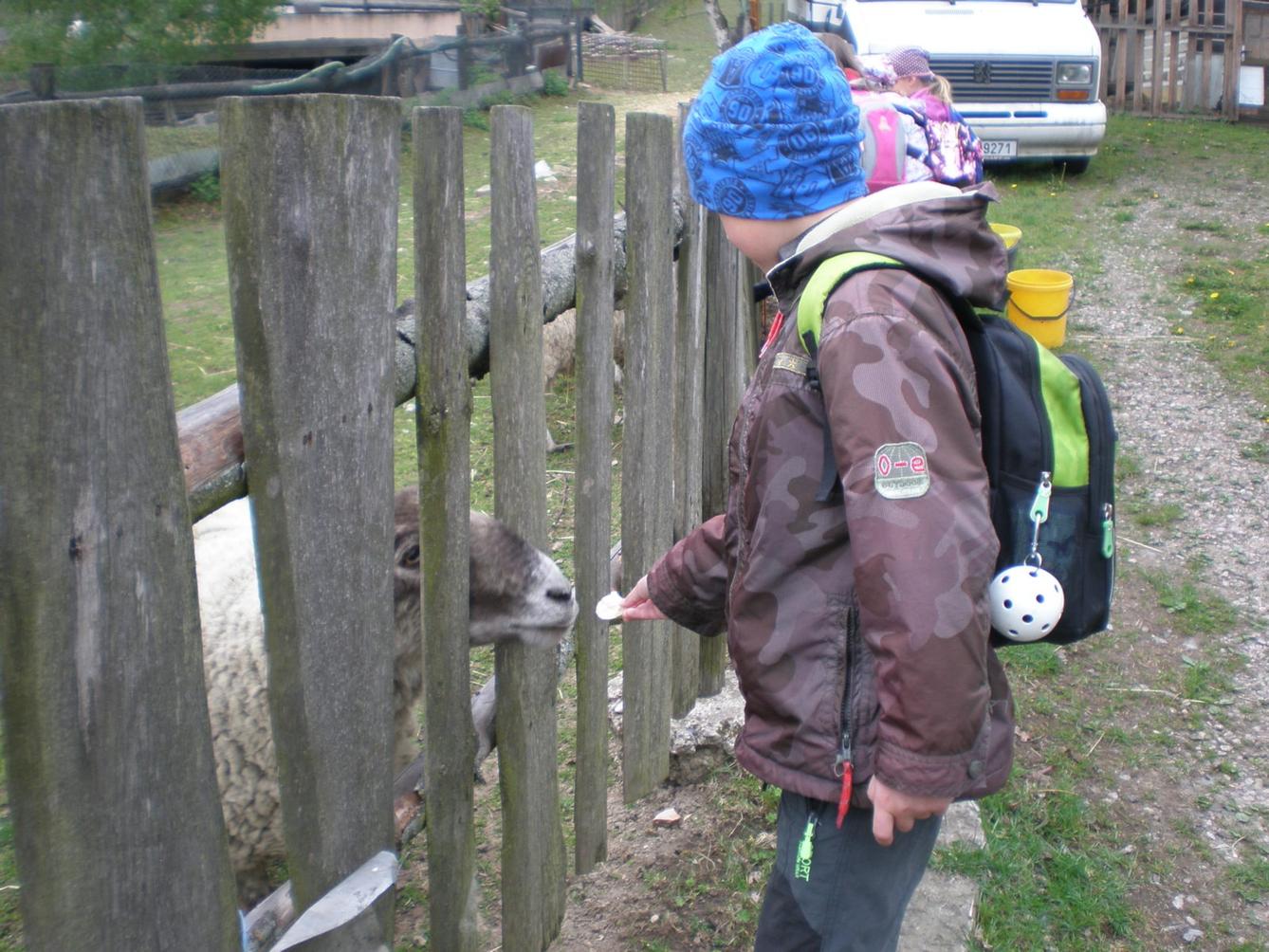 Výprava prvňáčků za zvířaty - 17