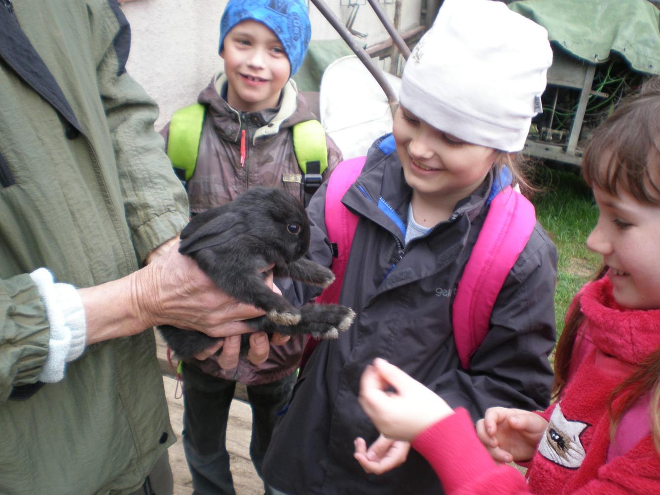 Výprava prvňáčků za zvířaty - 19