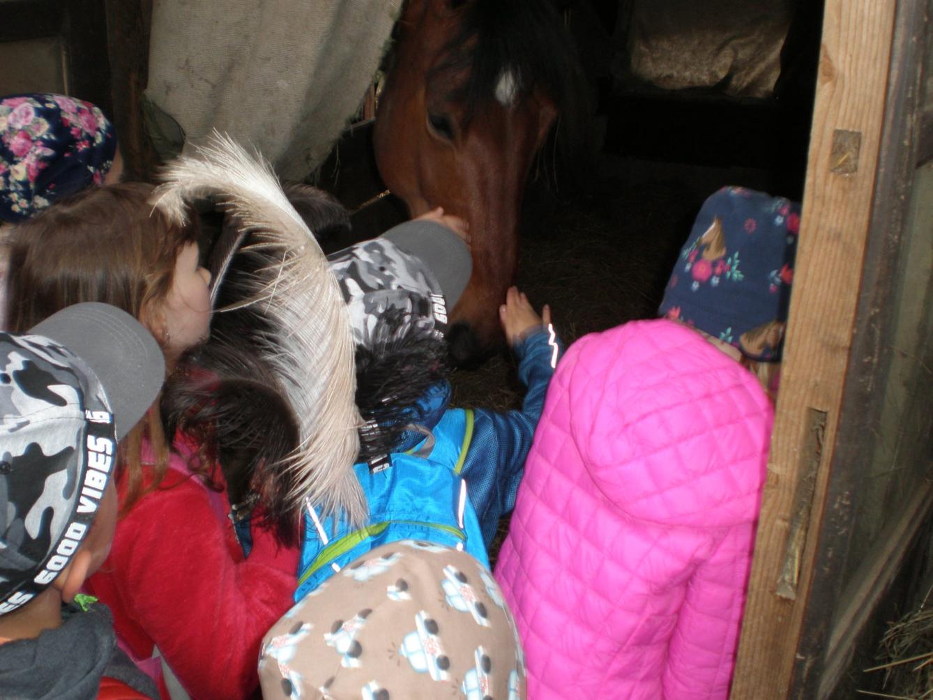 Výprava prvňáčků za zvířaty - 21