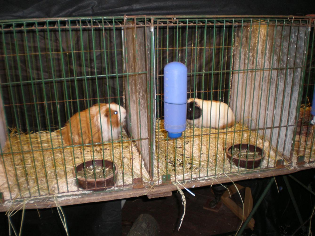 Výlet 1. třídy do Potštejna - 10