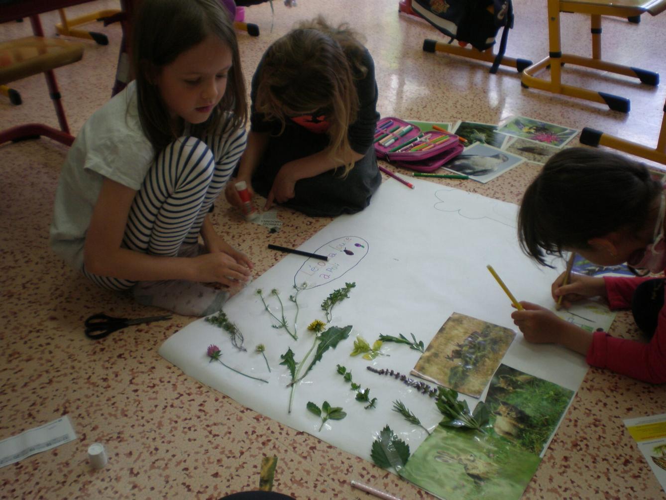 Výstupy druháčků z domácího i školního učení 12. 6. - 22