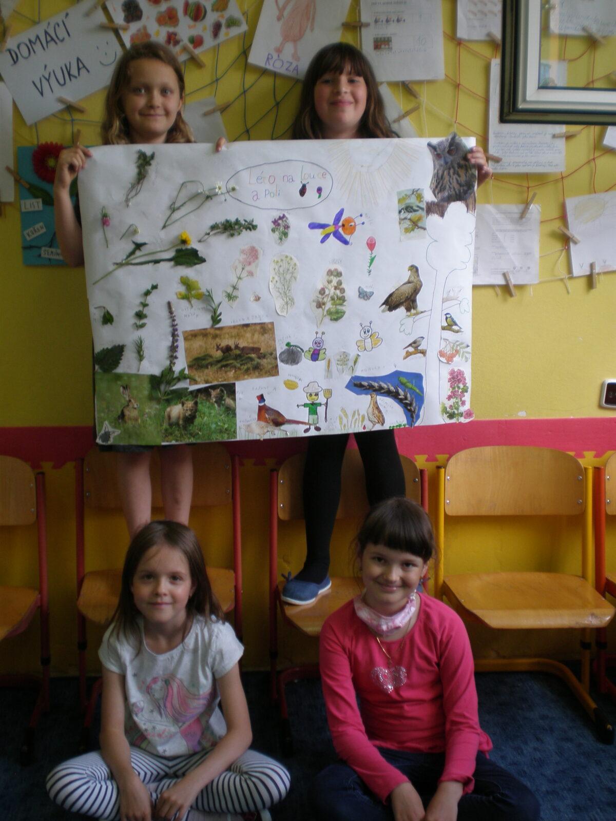 Výstupy druháčků z domácího i školního učení 12. 6. - 28