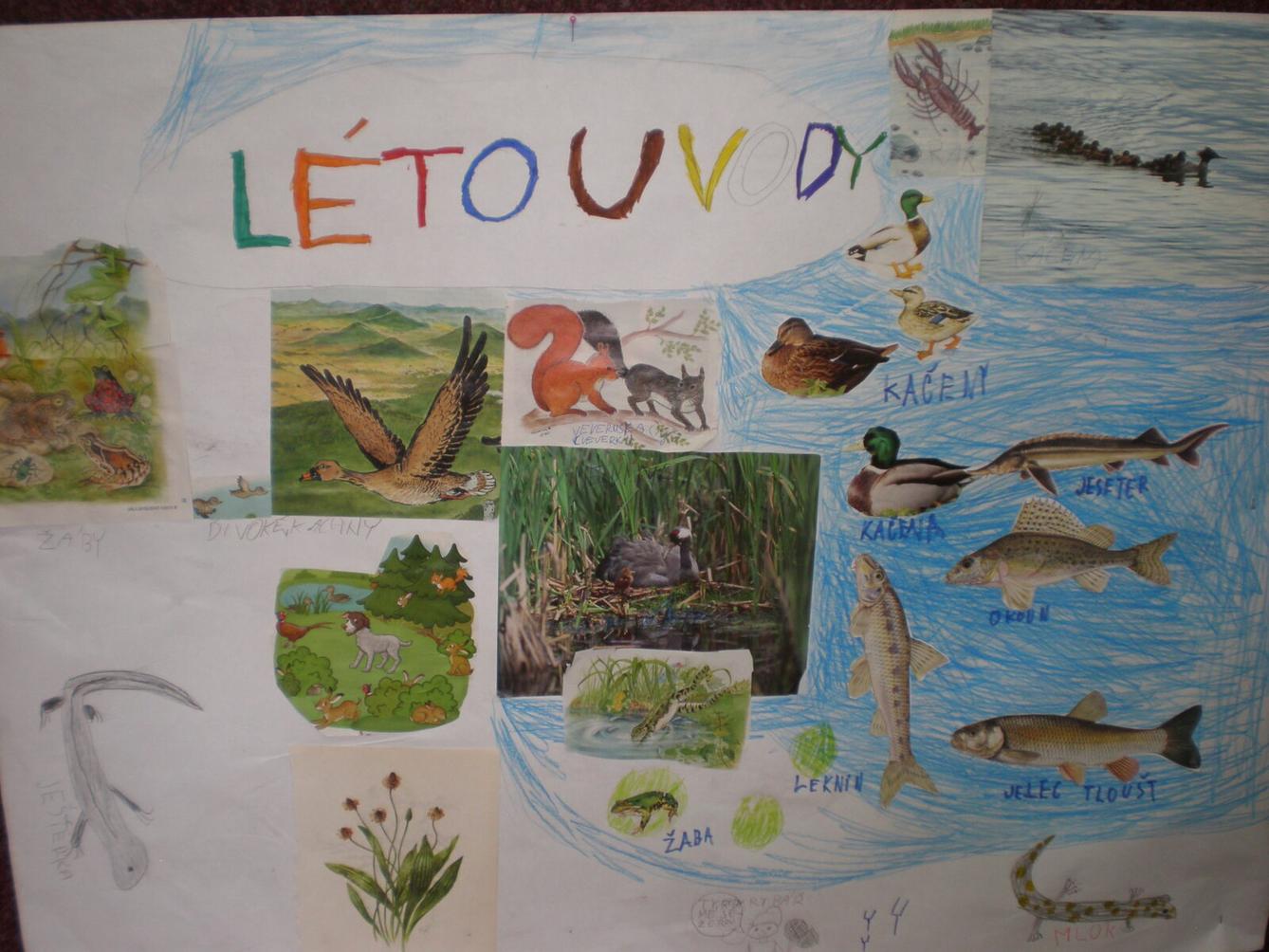 Výstupy druháčků z domácího i školního učení 12. 6. - 32