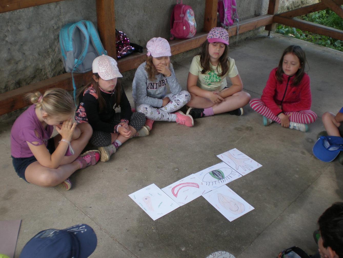 Výstupy druháčků z domácího i školního učení 23. 6. - 12