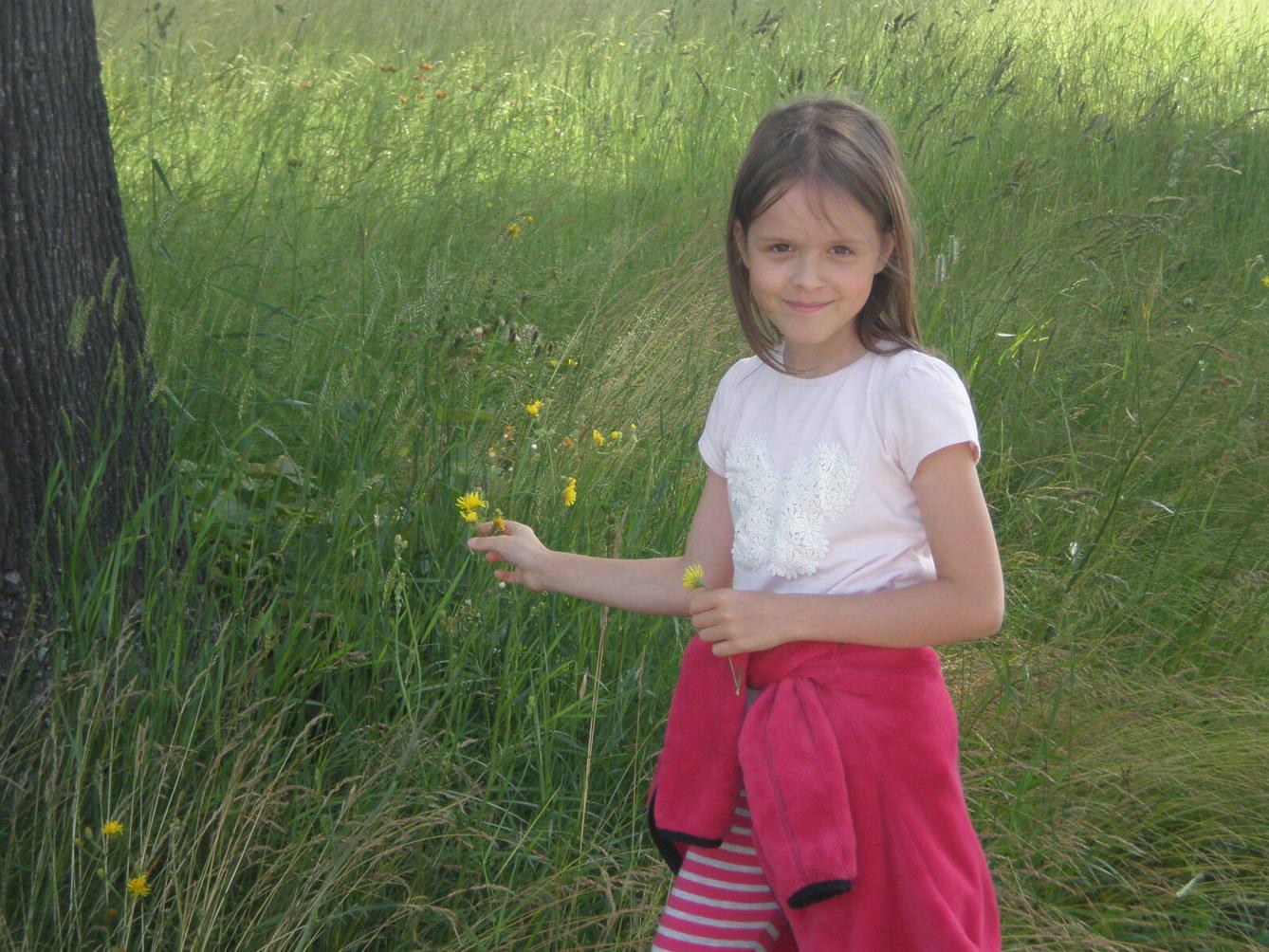 Výstupy druháčků z domácího i školního učení 23. 6. - 13