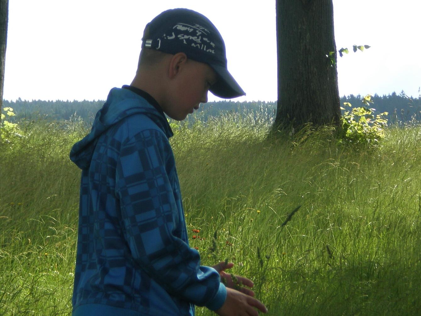 Výstupy druháčků z domácího i školního učení 23. 6. - 14