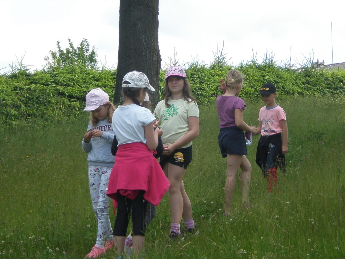 Výstupy druháčků z domácího i školního učení 23. 6. - 16