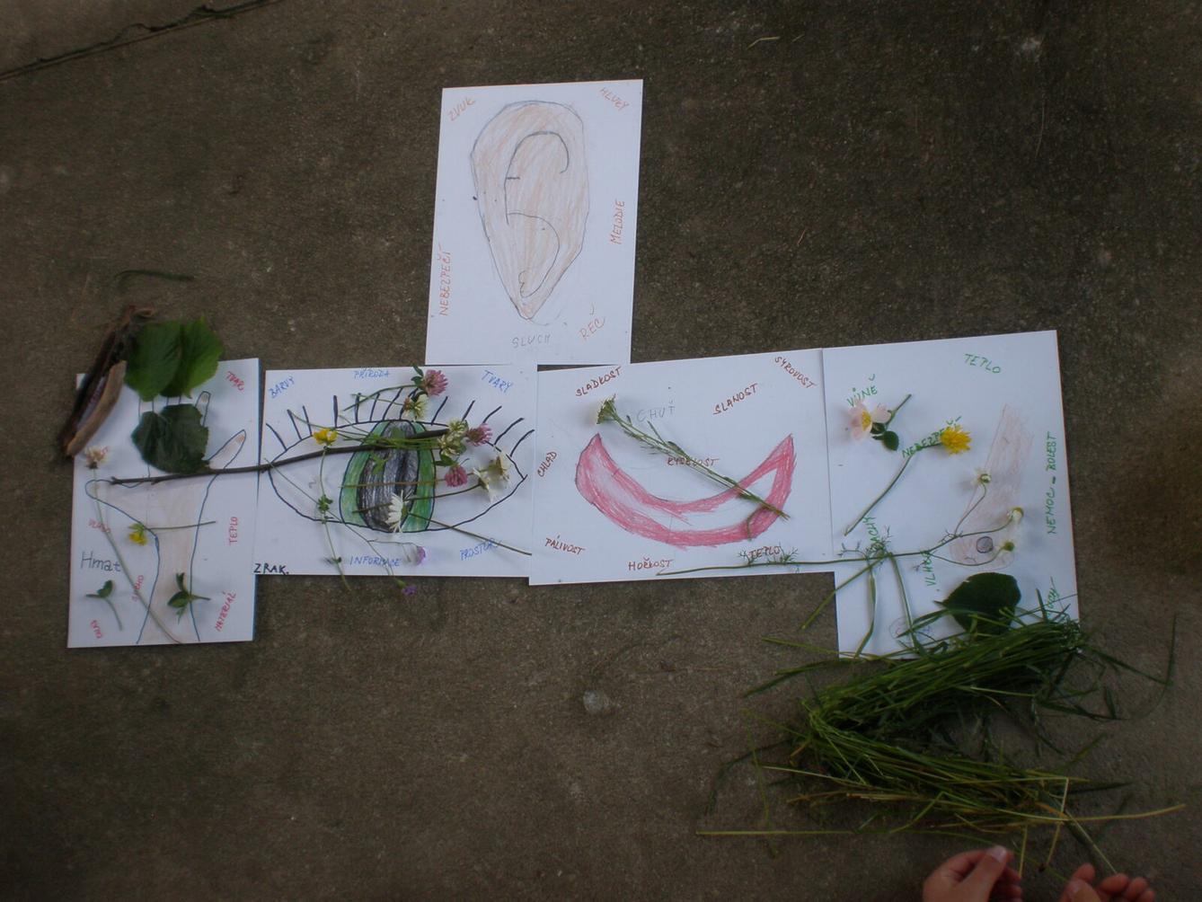 Výstupy druháčků z domácího i školního učení 23. 6. - 18