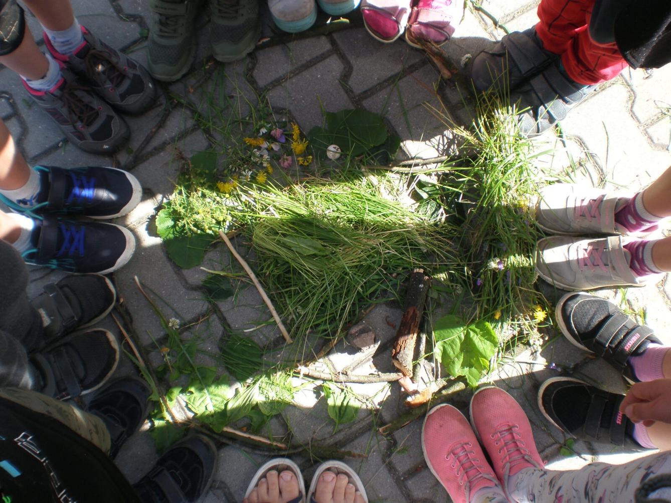 Výstupy druháčků z domácího i školního učení 23. 6. - 21