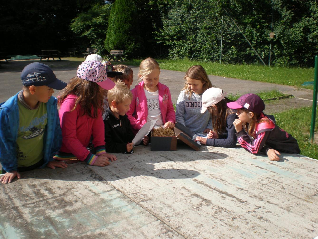 Druháčci - ukončení školního roku - 7