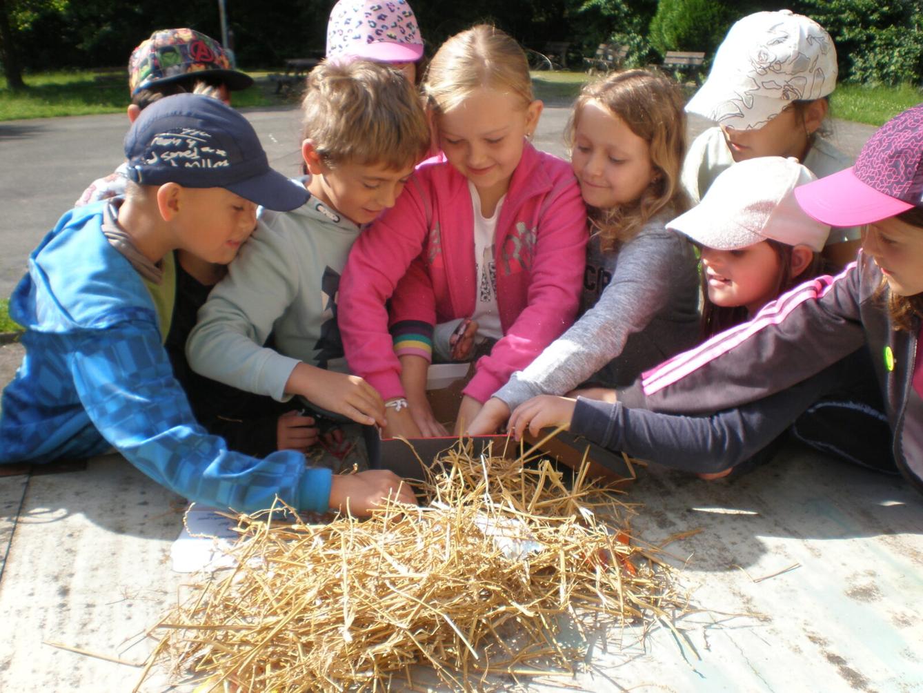 Druháčci - ukončení školního roku - 8