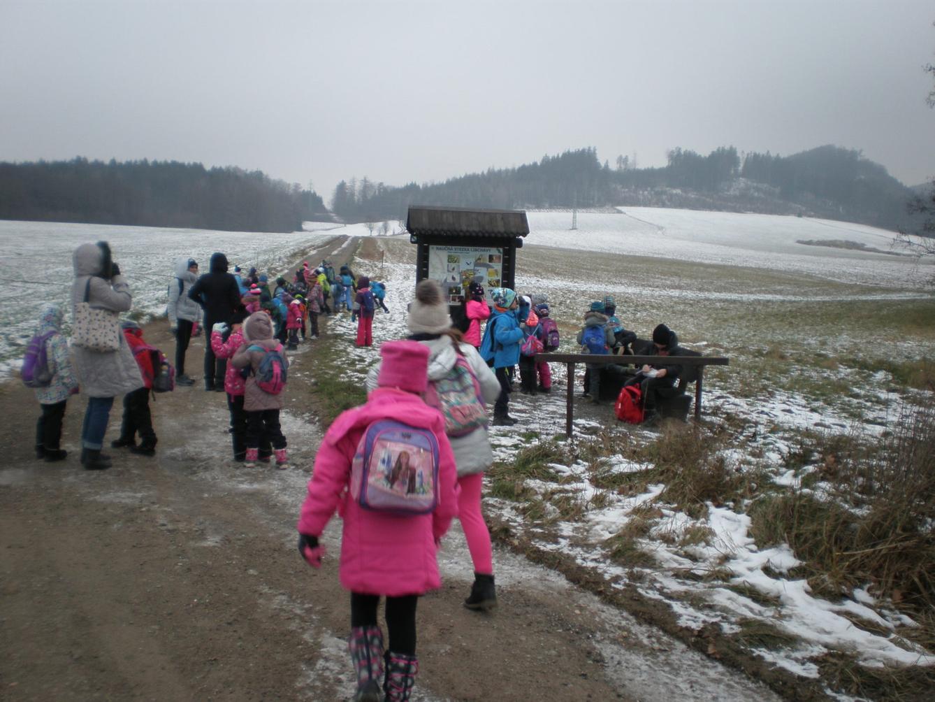 Vánoční les 1. stupeň - 3