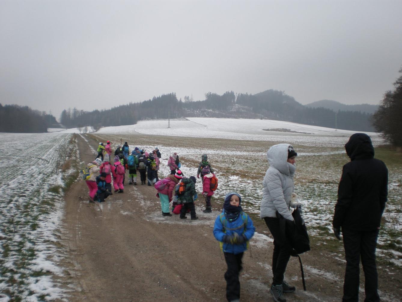 Vánoční les 1. stupeň - 4