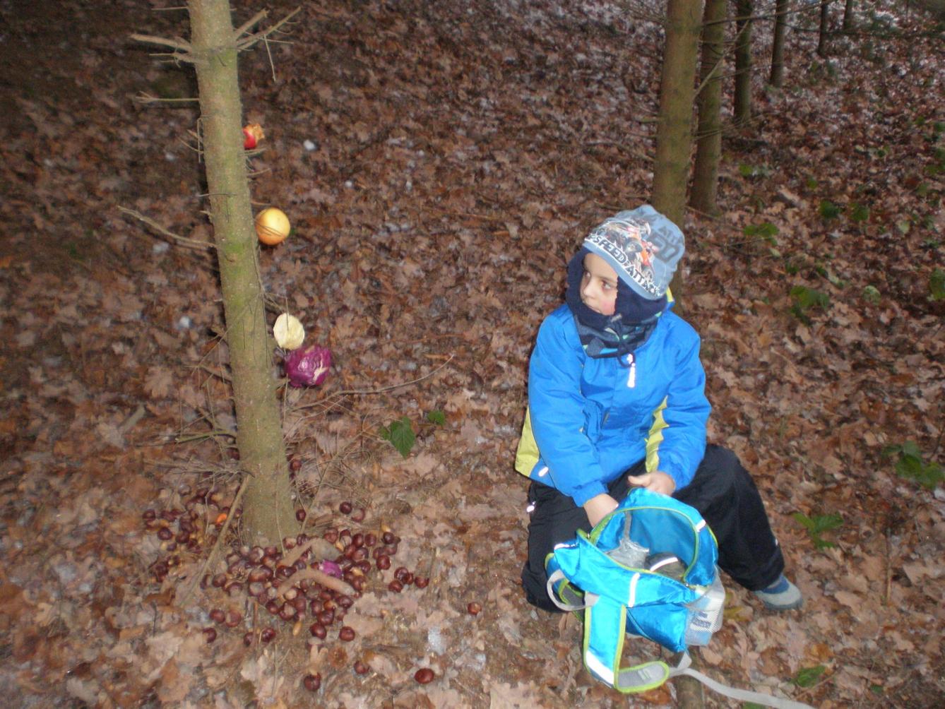 Vánoční les 1. stupeň - 5