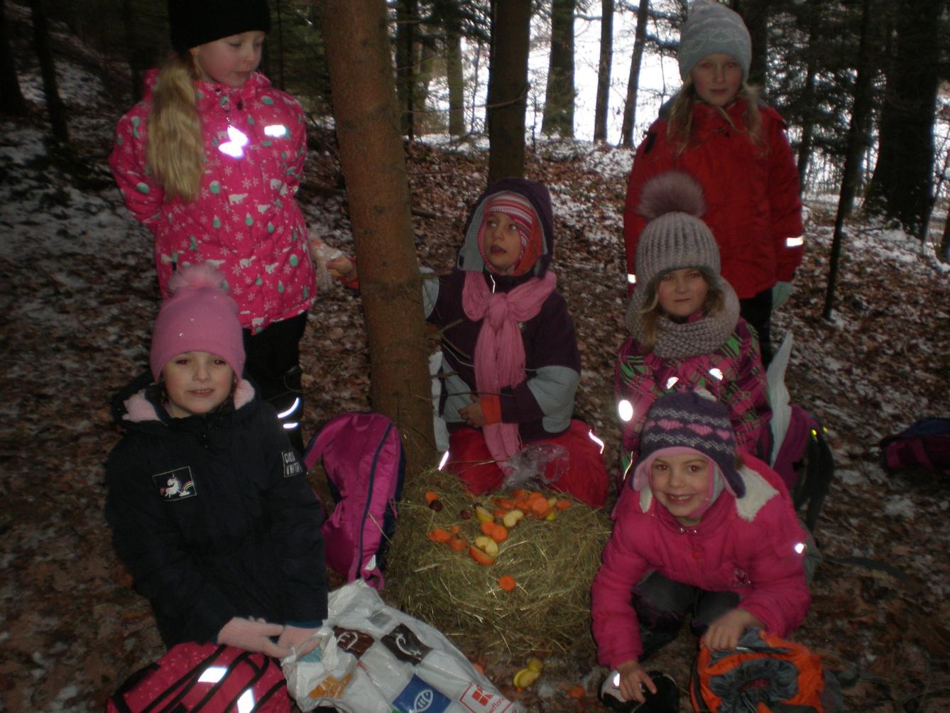 Vánoční les 1. stupeň - 6