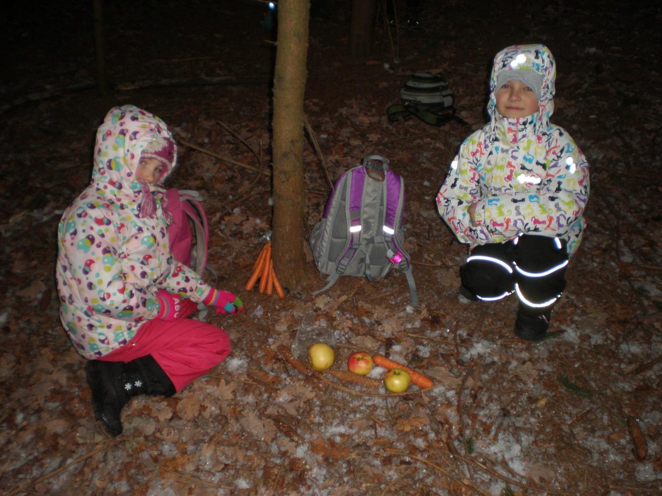 Vánoční les 1. stupeň - 7