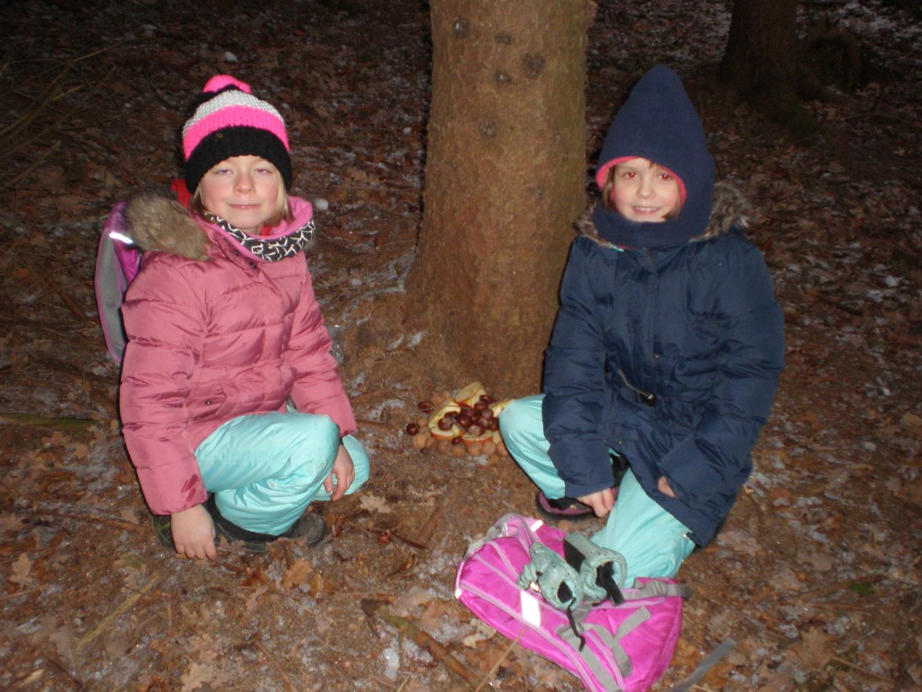 Vánoční les 1. stupeň - 9