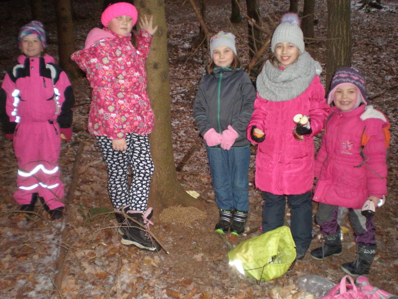 Vánoční les 1. stupeň - 10