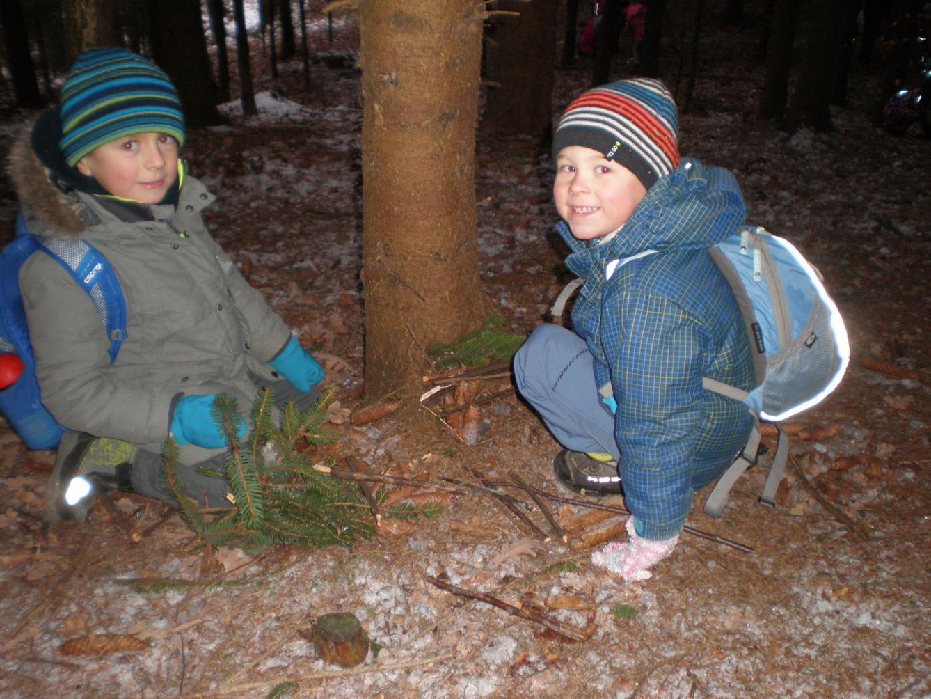Vánoční les 1. stupeň - 12