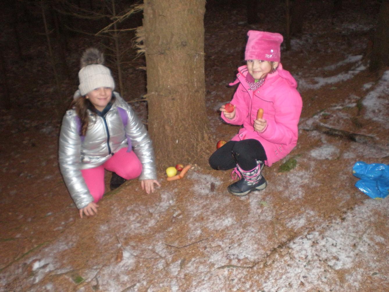 Vánoční les 1. stupeň - 14