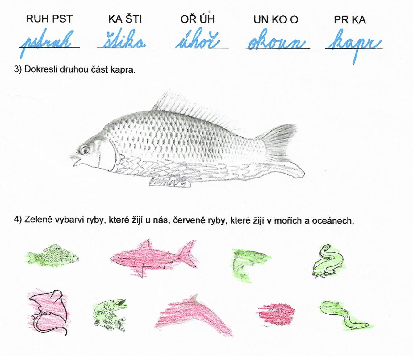 Království ryb u třeťáčků 13. 6. - 48