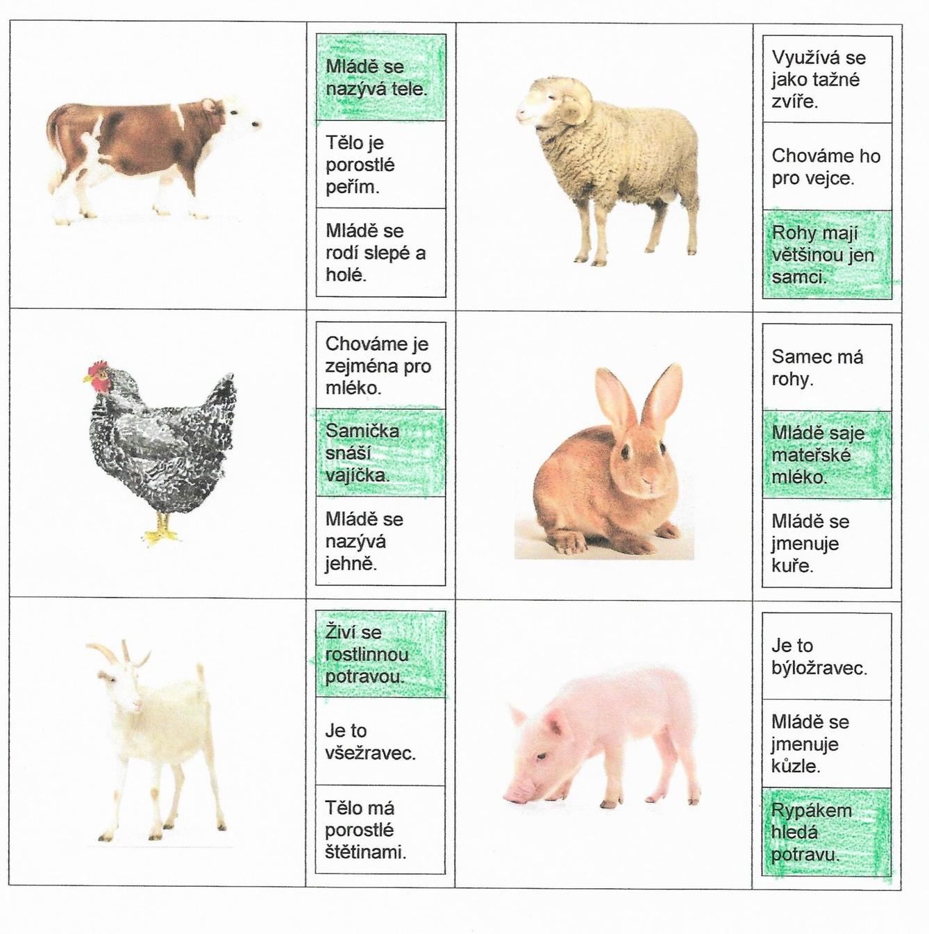 Příroda u třeťáčků 30. 5. - 39