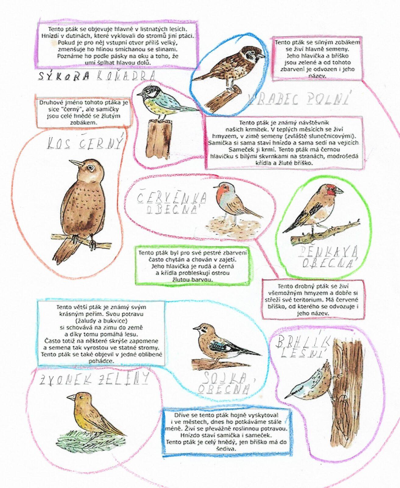 Činnosti u třeťáčků 6. 6. - 38