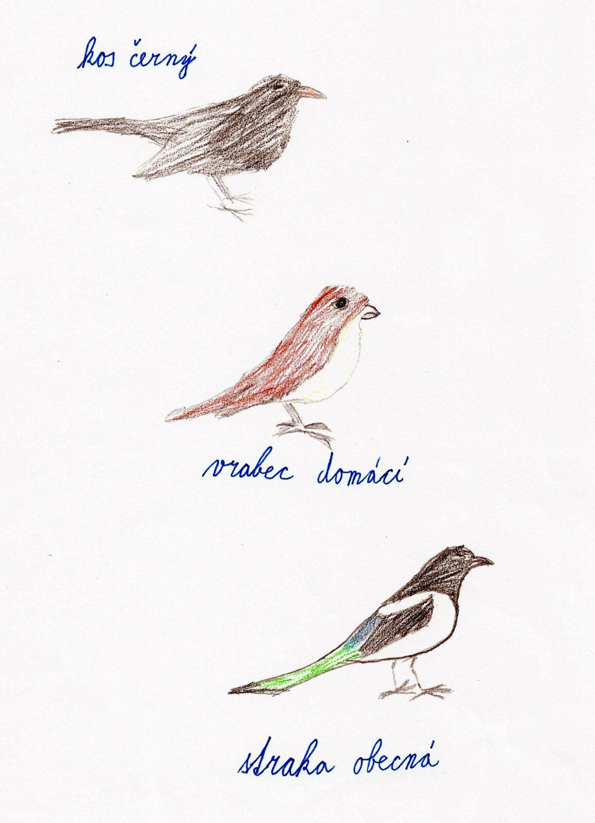 Činnosti u třeťáčků 6. 6. - 39