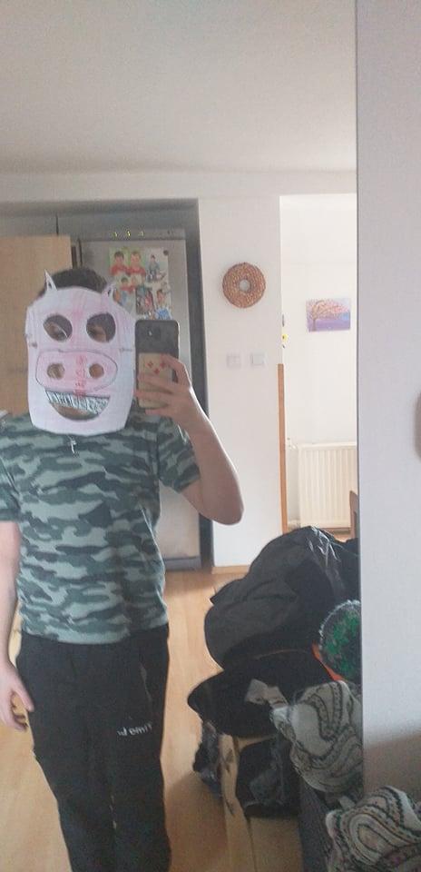 Distanční výuka v 5.B - 17