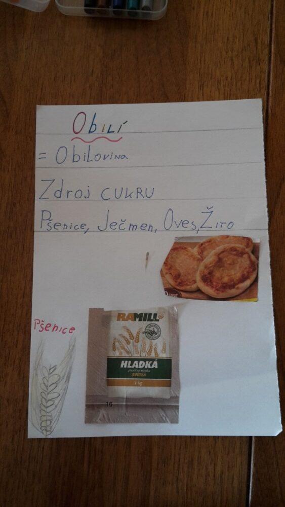 Distanční výuka ve třetí třídě 23. 10. - 39