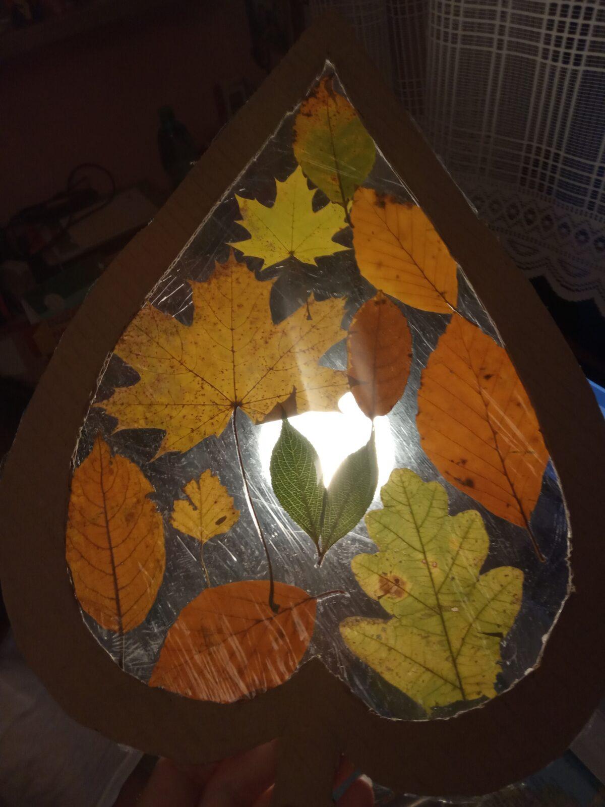 Činnost Badatelského kroužku - 4