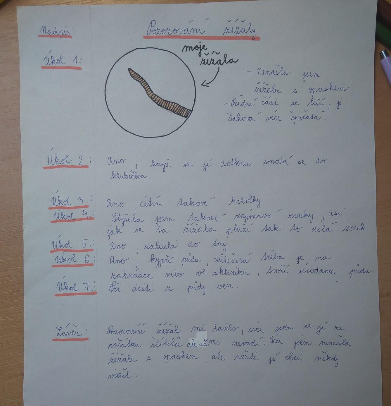 Jak zkoumali šesťáci žížaly - 9