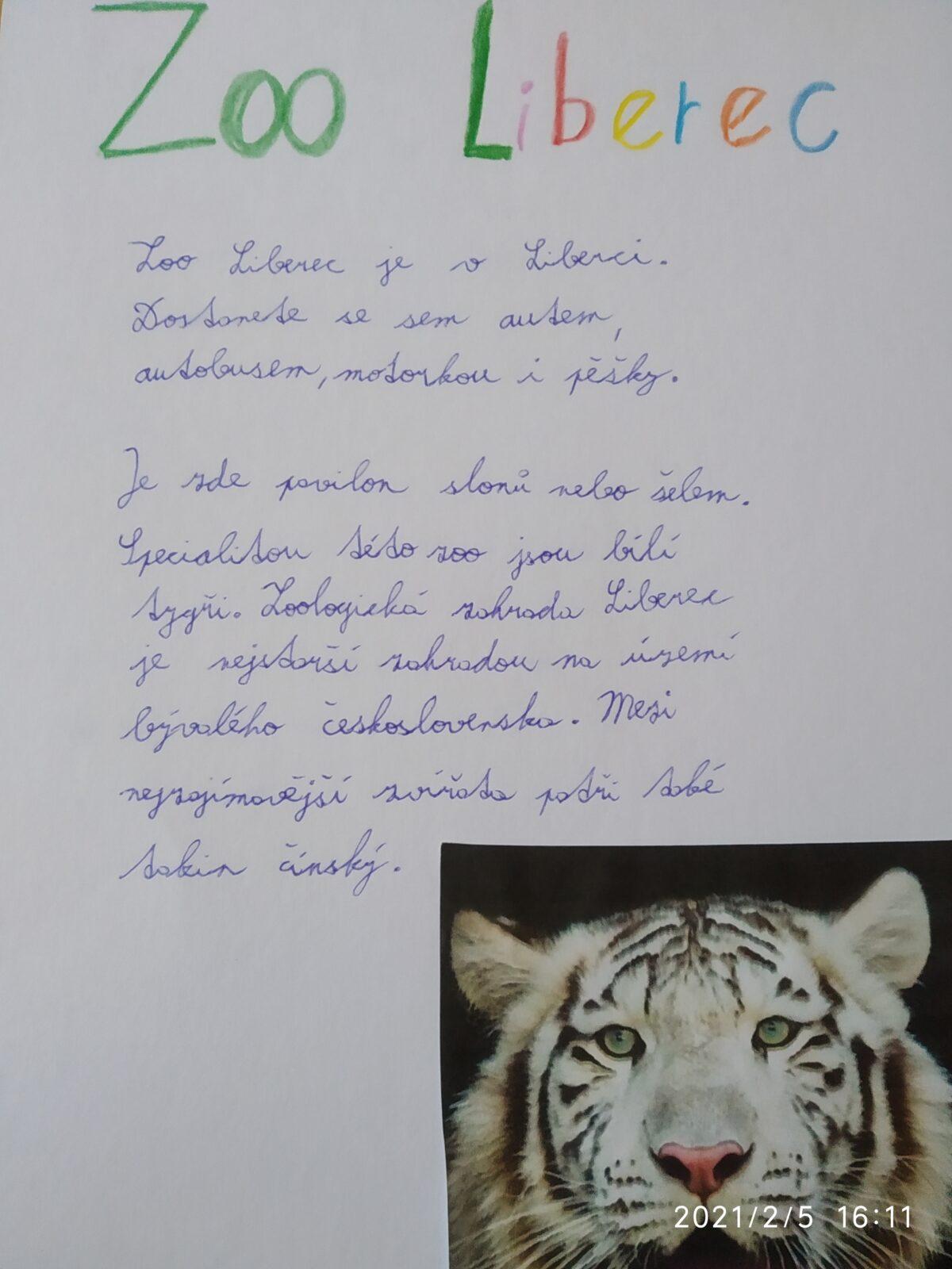 Distanční výuka v 5.B - 18