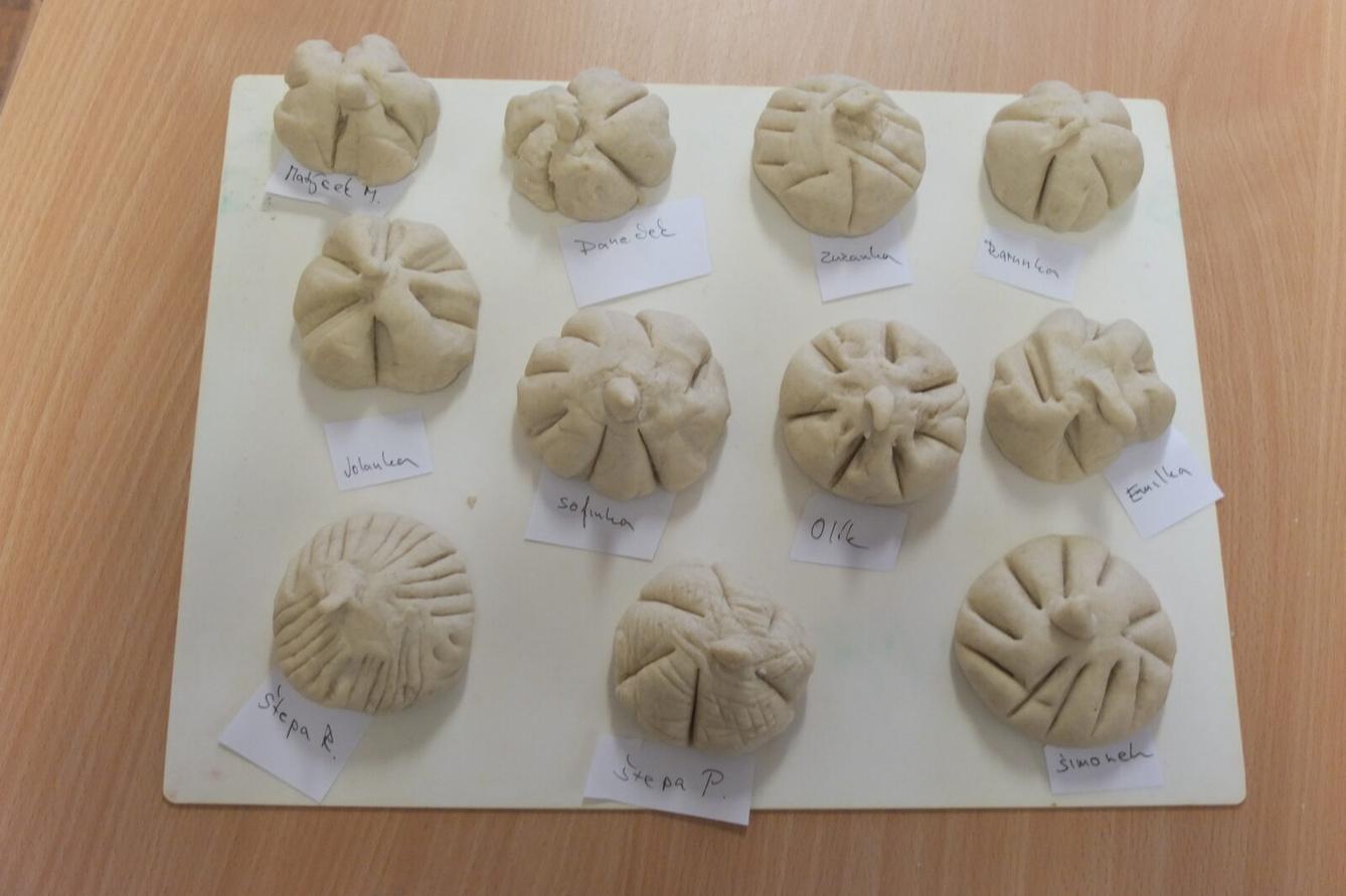 Človíček se představuje - 8