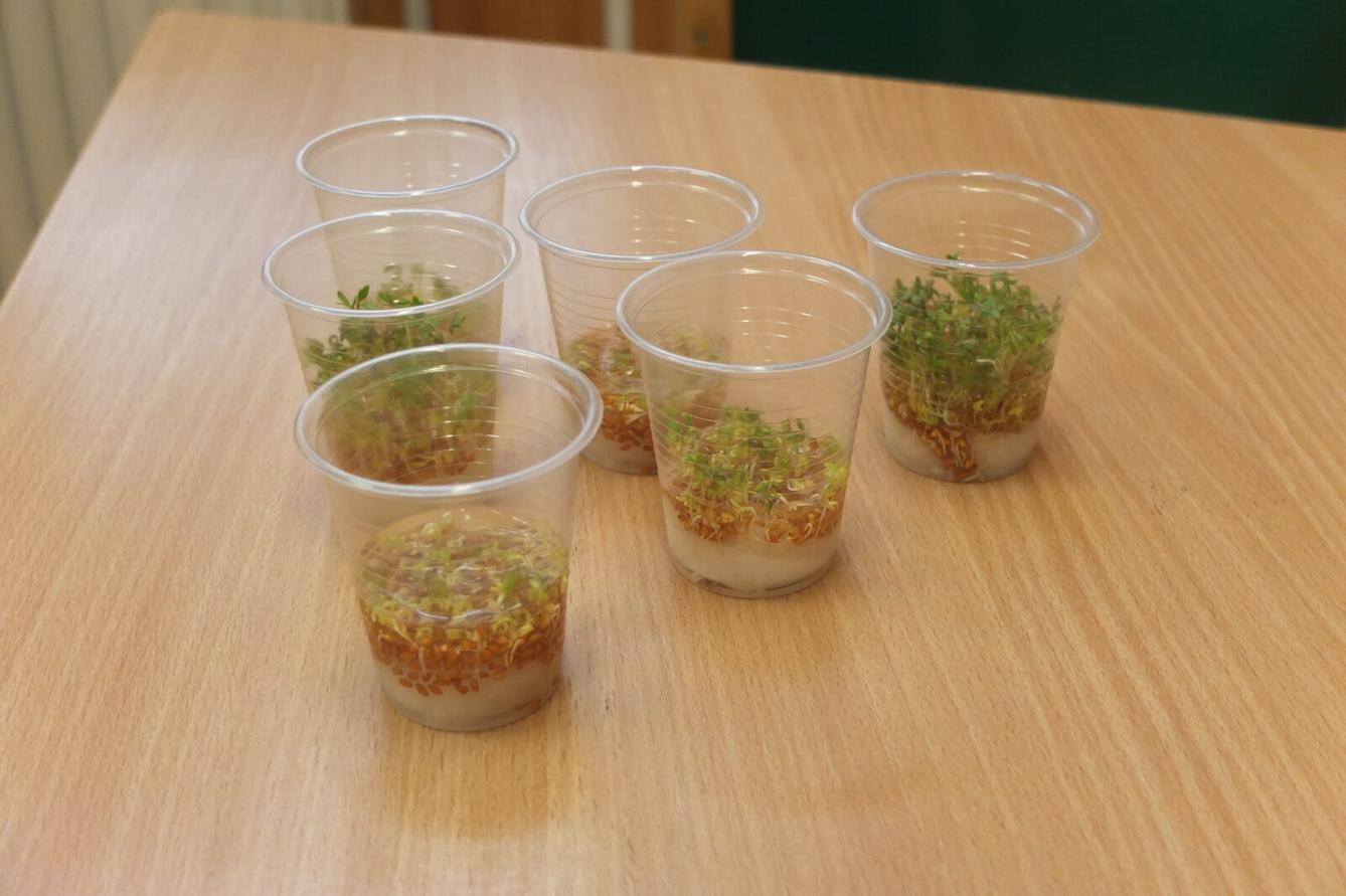 Človíček se představuje - 35