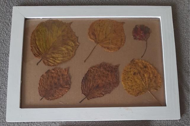 Laboratorní práce FOTOSYNTÉZA v 6.třídě - 3