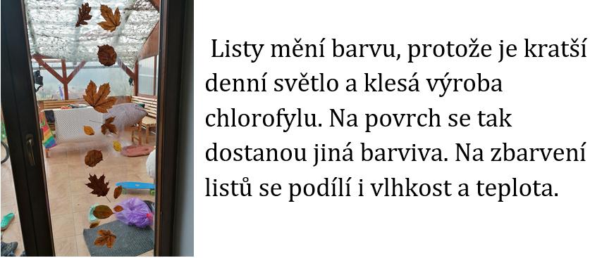 Laboratorní práce FOTOSYNTÉZA v 6.třídě - 10