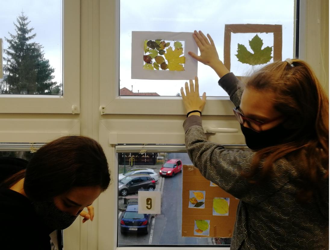 Činnost Badatelského kroužku - 5