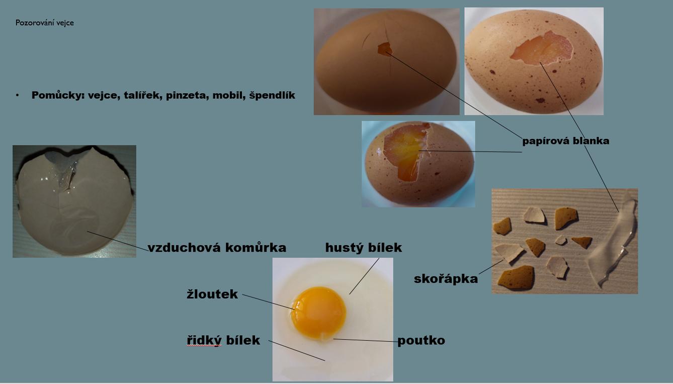 Laboratorní práce u sedmáků - 7
