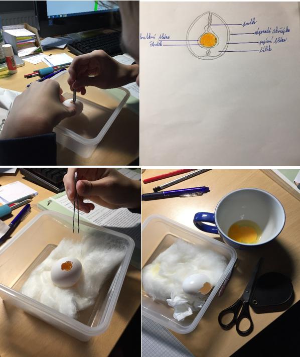 Laboratorní práce u sedmáků - 8