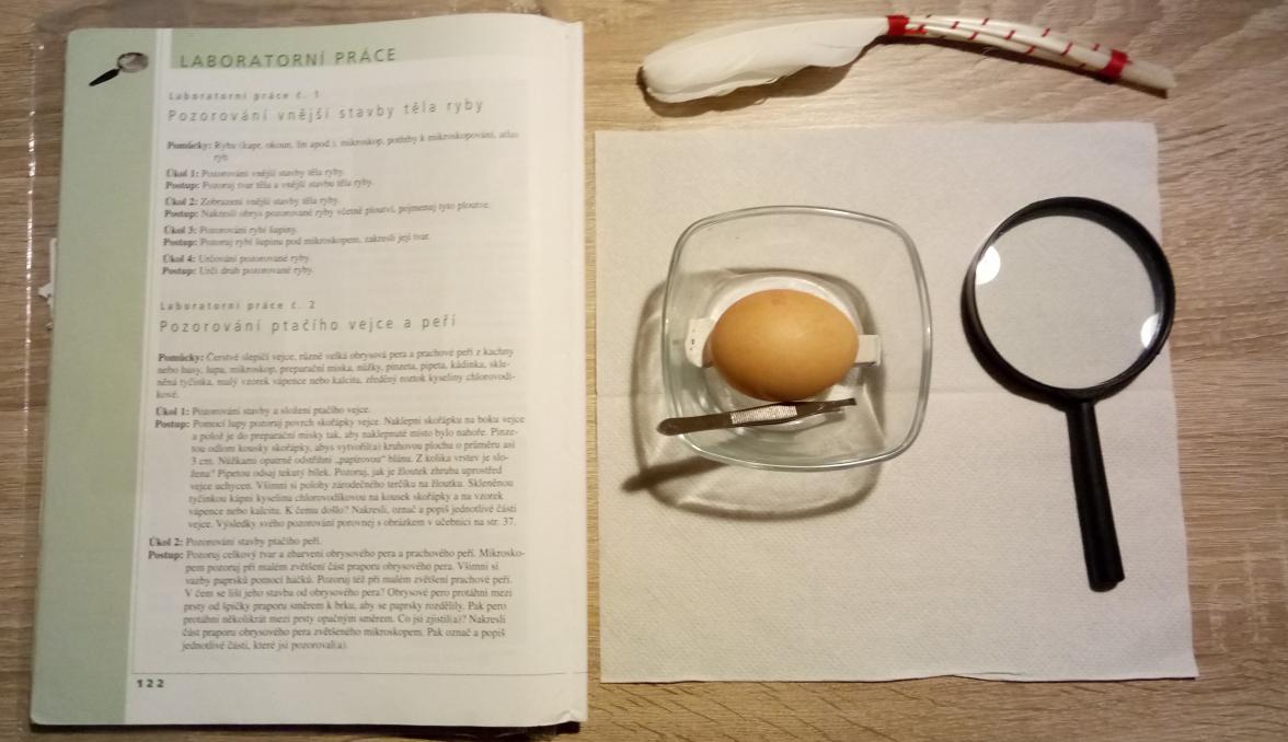 Laboratorní práce u sedmáků - 10