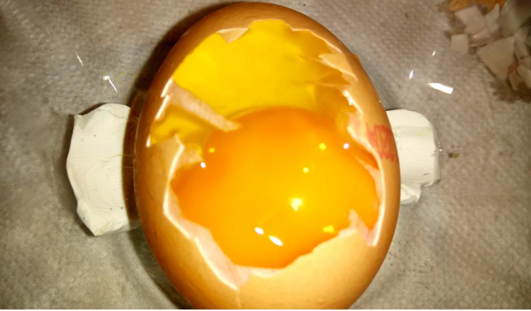 Laboratorní práce u sedmáků - 11