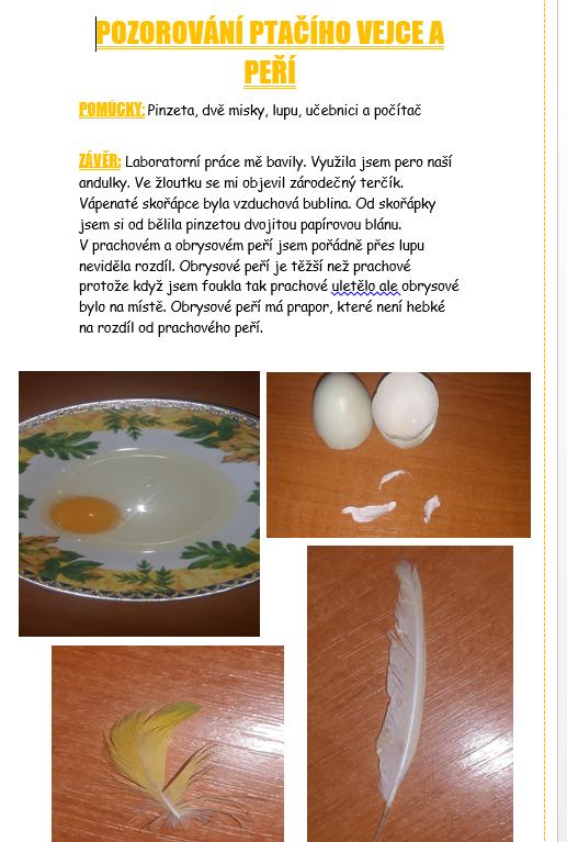 Laboratorní práce u sedmáků - 12